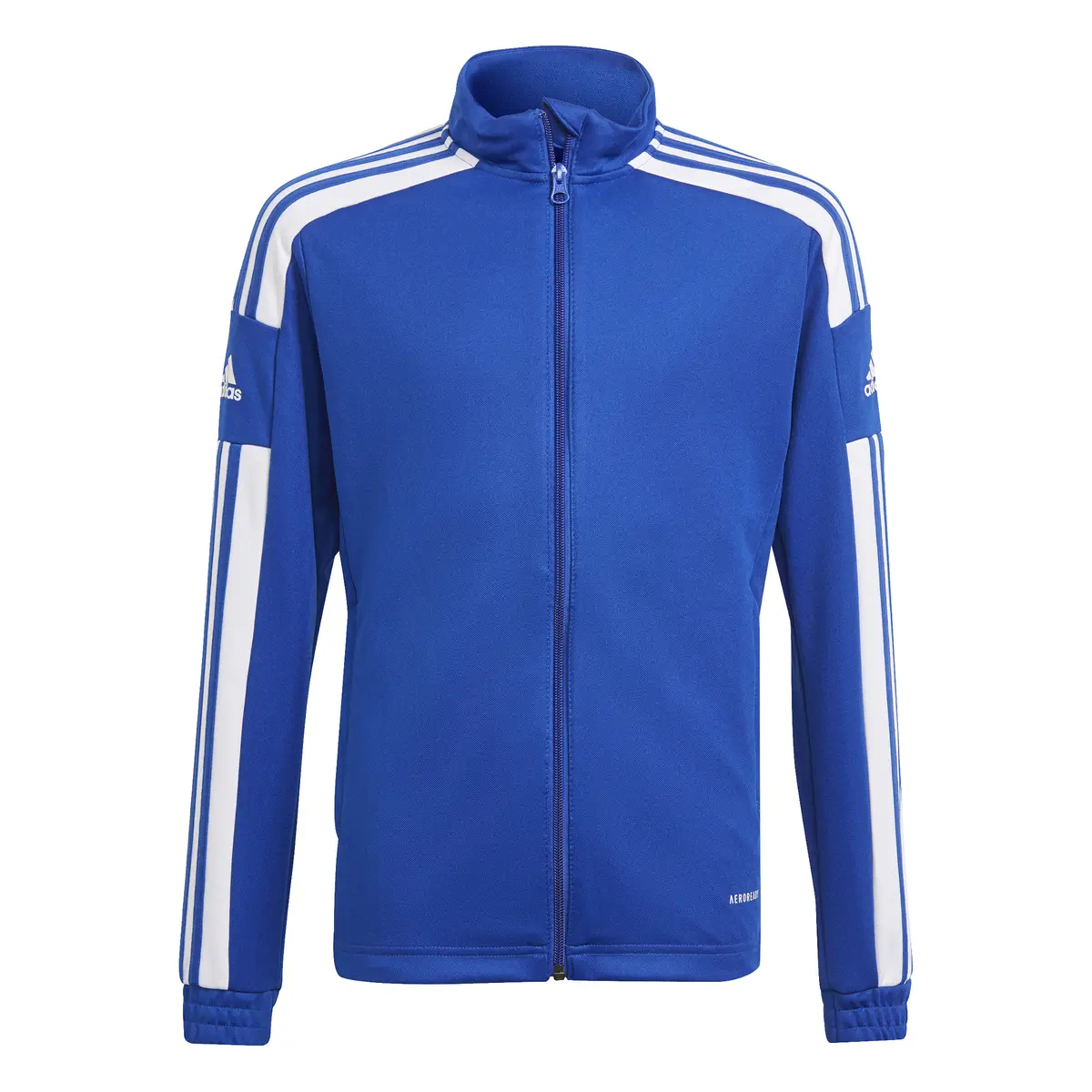 4064045164437 - ADIDAS SQUAD 21 TRAINING JACKE Kinder - Farbe ROYBLU WHITE - Gr 116
