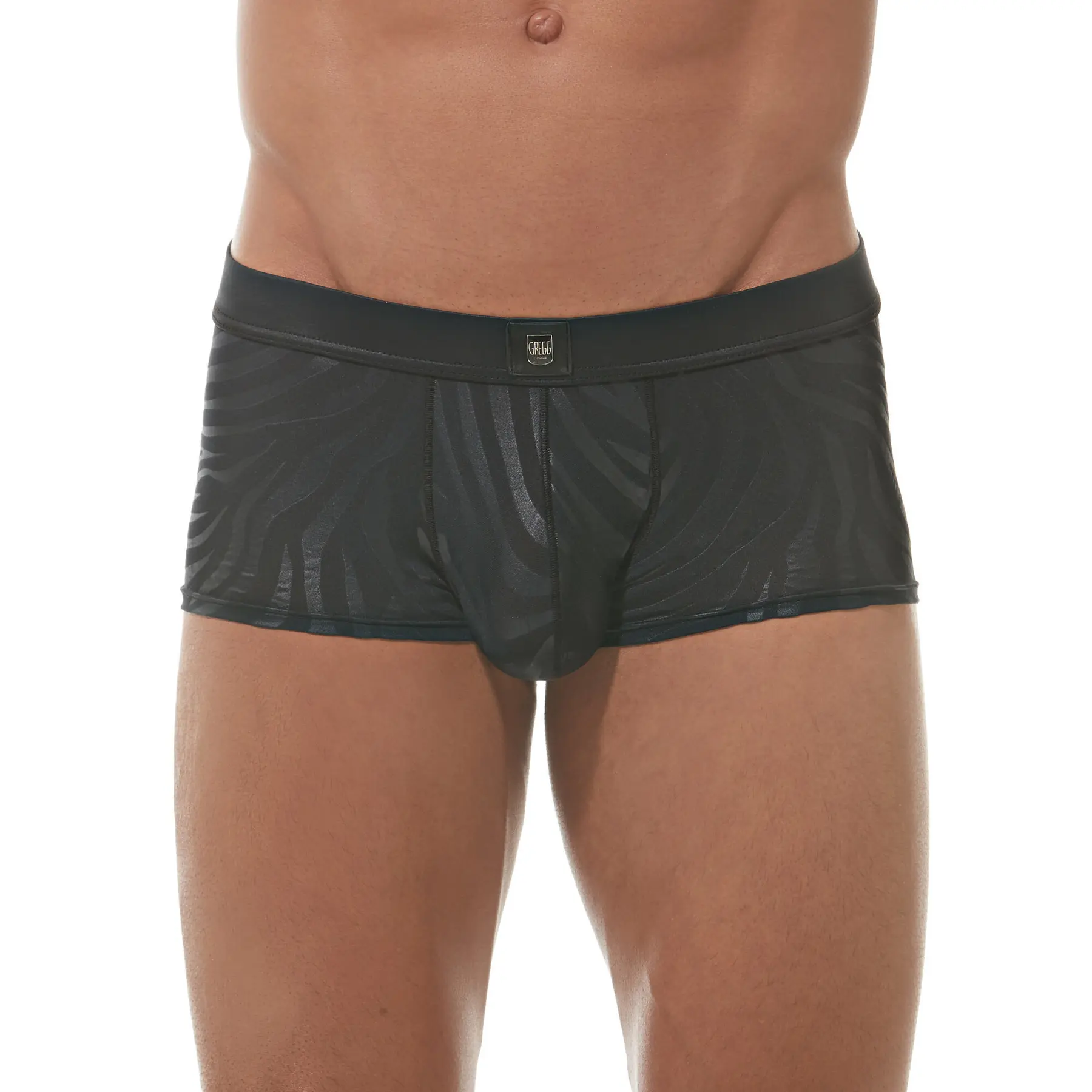 Image of Boxer Gregg Homme Hookt