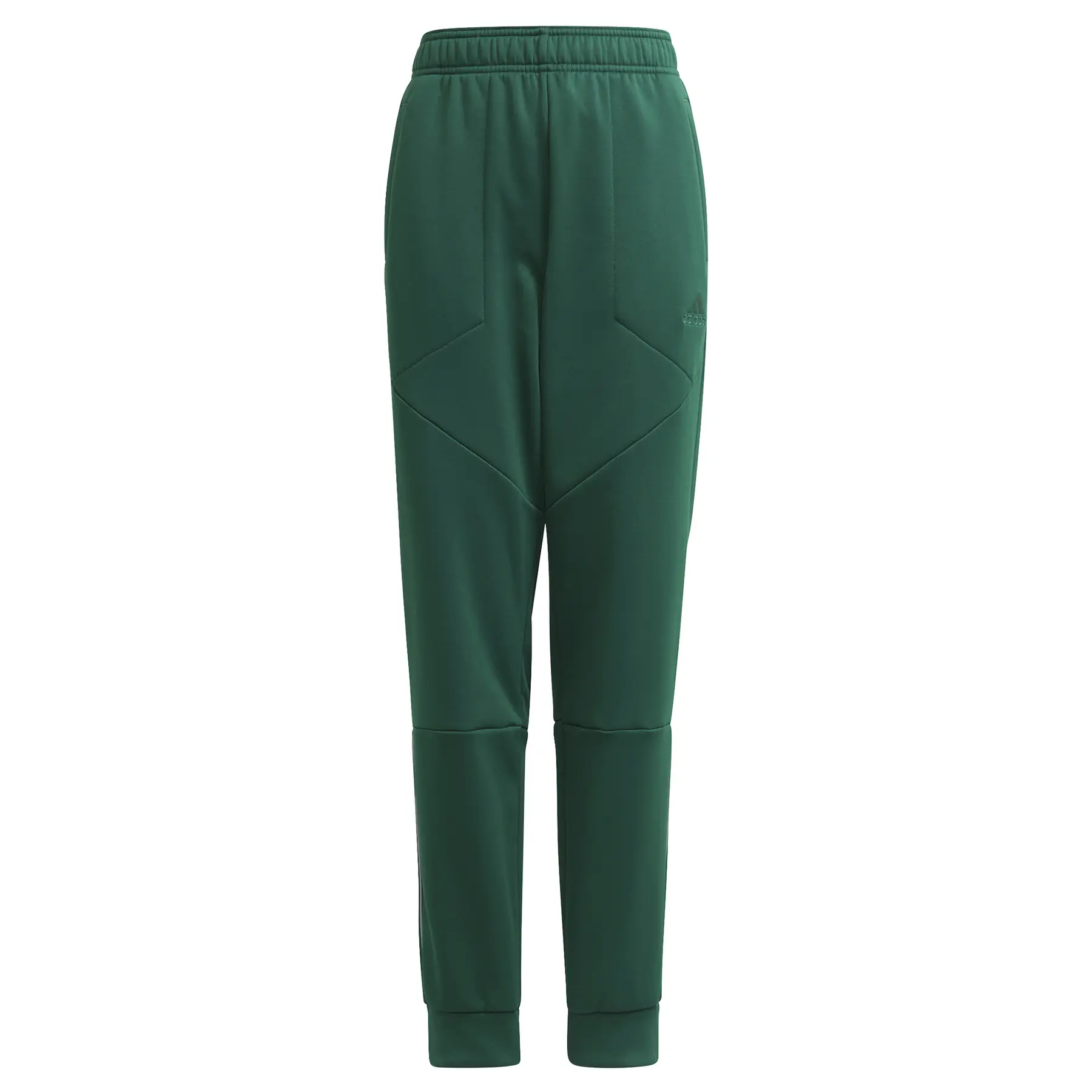 4064054564815 - Kinderhosen adidas Designed to Move Fleece