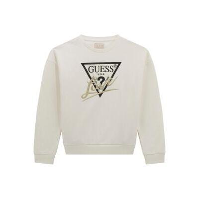 7628907735950 - Pullover Mädchen Active