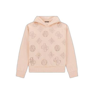 7628907737084 - Hoodie Kinder Active