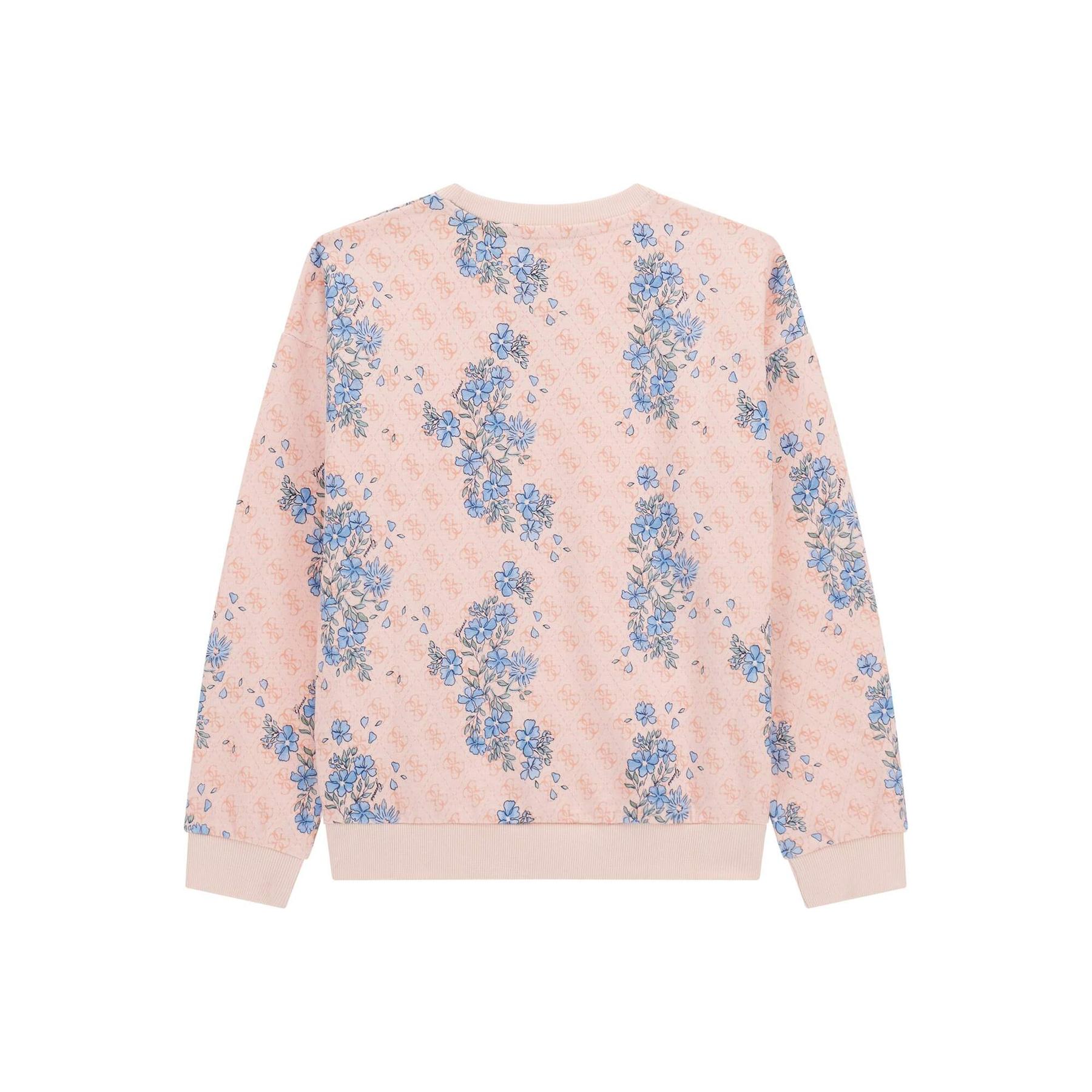 7620837692778 - Pullover Mädchen Active Top