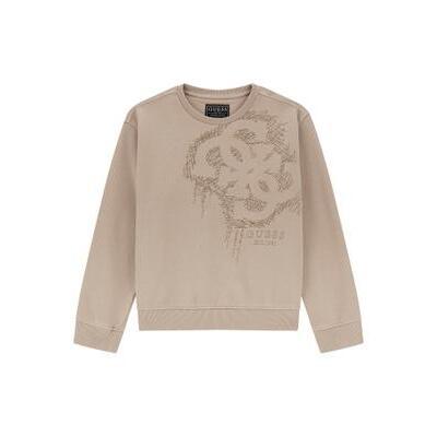 7621806054719 - Pullover Kind Active Top