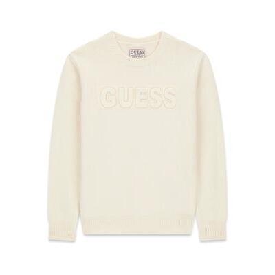 7621806208655 - Bestickter Pullover für Kinder Guess
