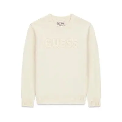 7621806524939 - Bestickter Pullover für Kinder Guess