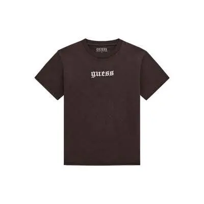 7620837893366 - Oversized T-Shirt Gmt Dye
