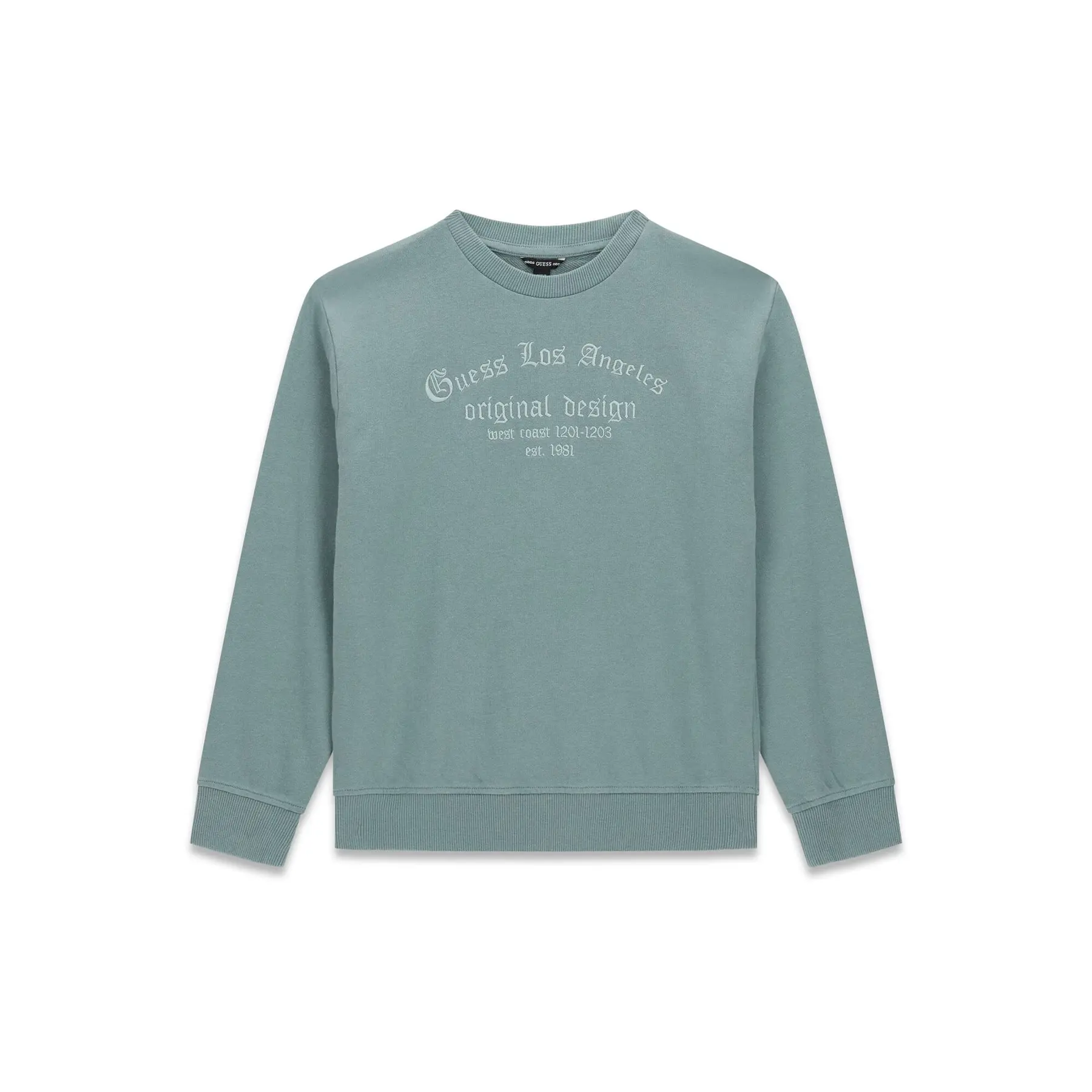 Guess Boys Turquoise Children's Oversized Sweatshirt Active Top