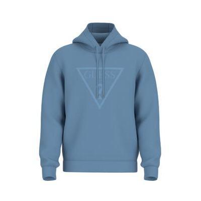 7621806069270 - Hoodie RAW PATCH