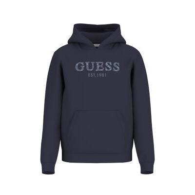 7620837194975 - Hoodie Guess