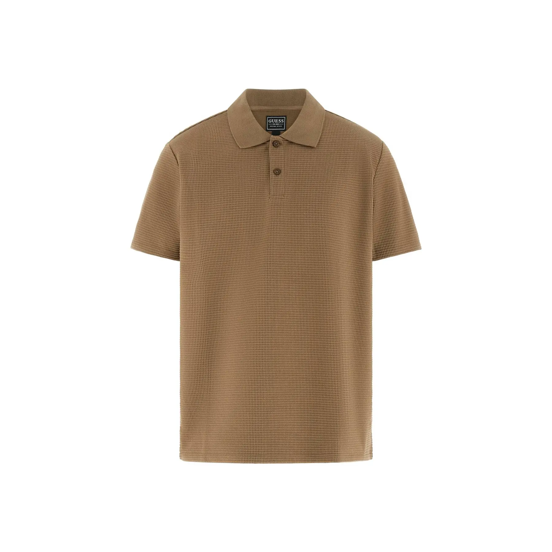 Polo  Rex