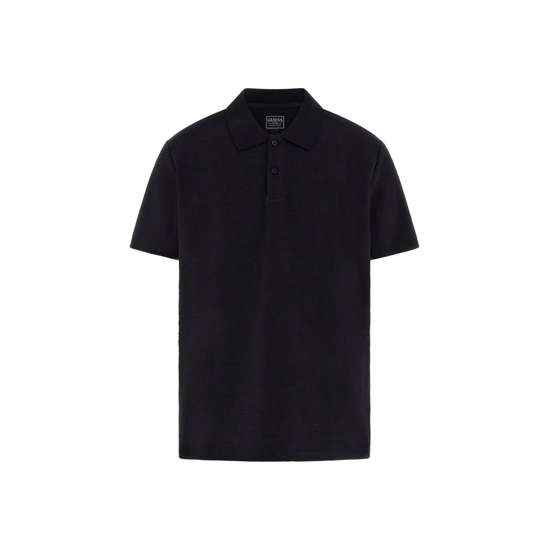 Polo  Rex