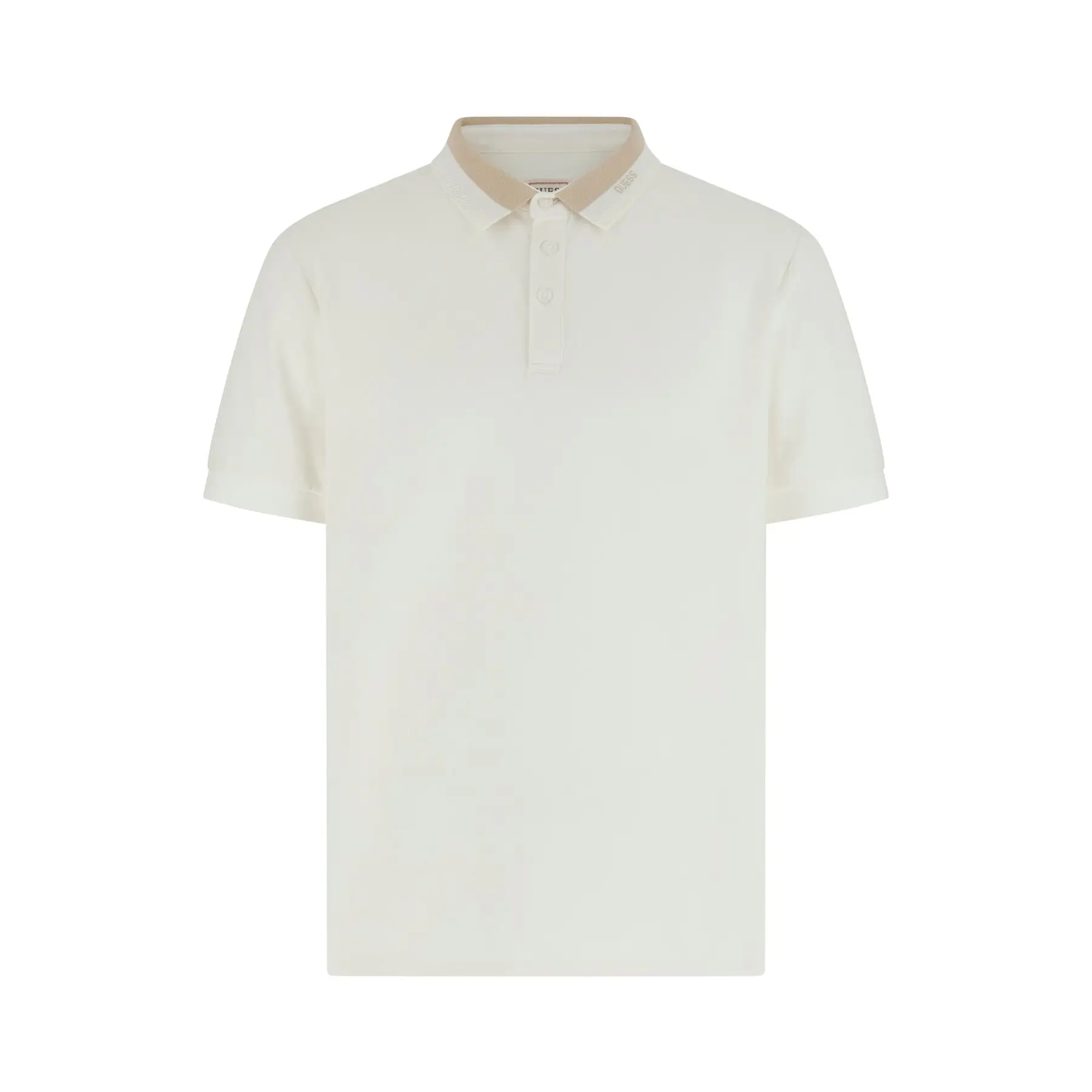 Polo  Paul