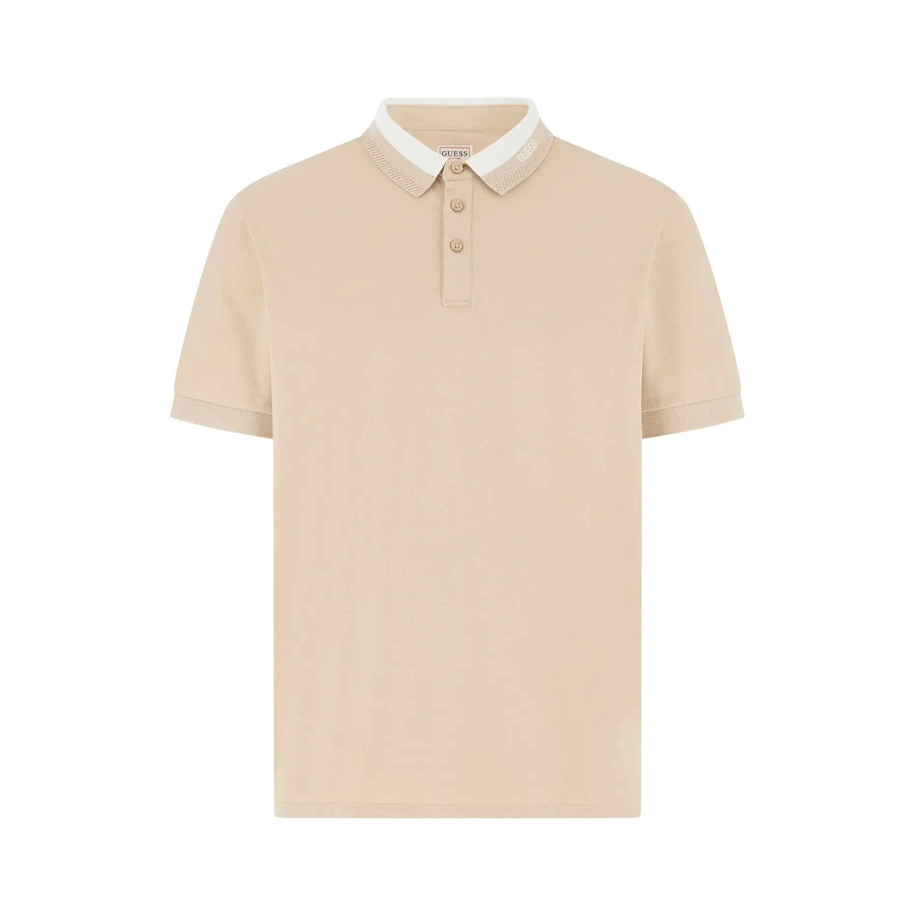 Polo  Paul