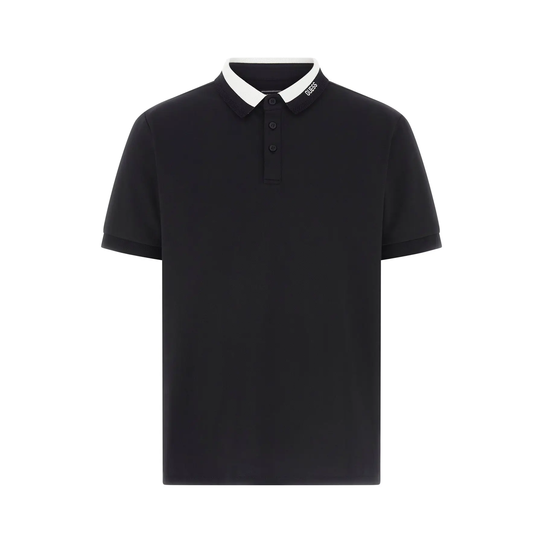 Polo  Paul