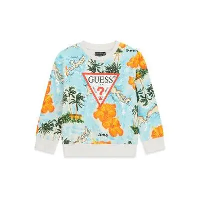 7621235793753 - Sweatshirt für Baby-Jungen Active Top