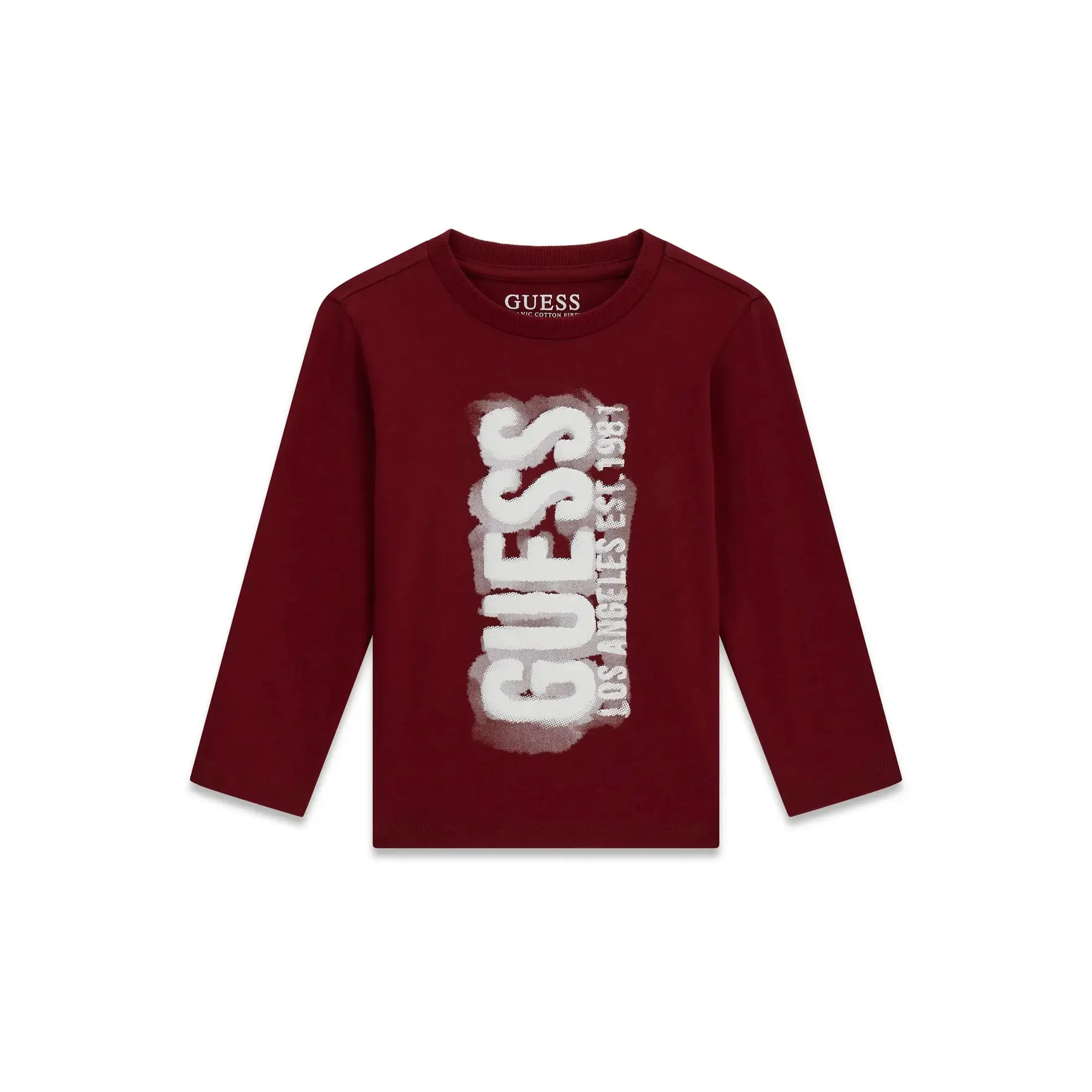 T-shirt maniche lunghe cotone per bebé maschio  N6RI12-K8HM4