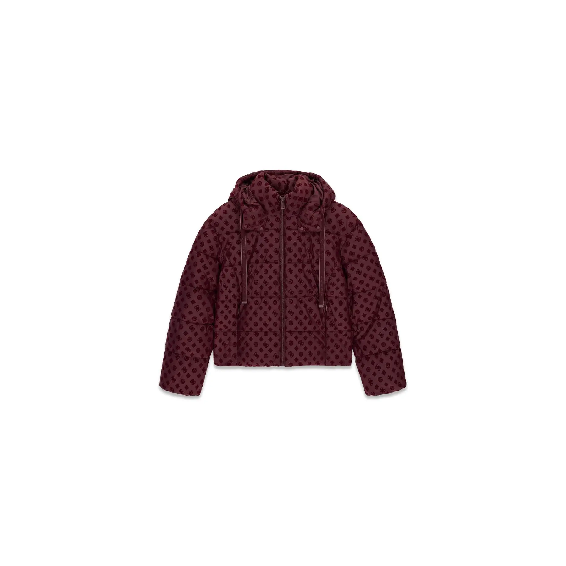 Damescolbert Guess New Daisy Logo