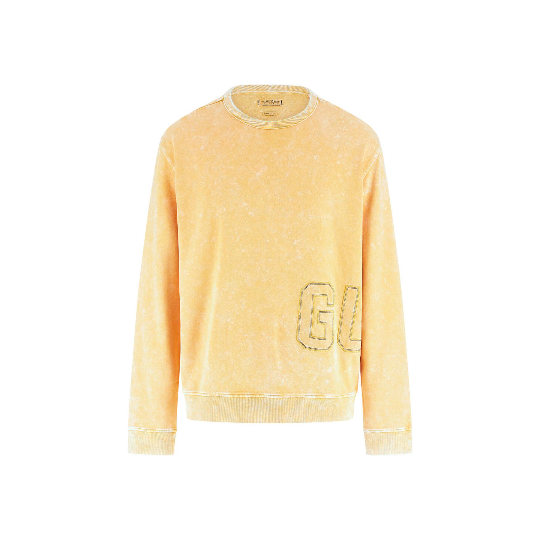 7626101214165 - Pullover Treated Logo