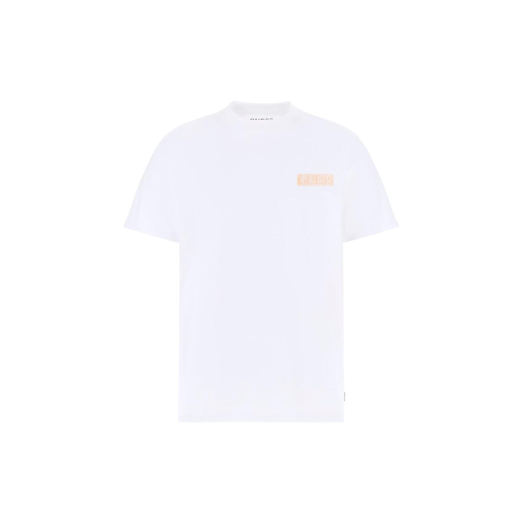 7628907039270 - Basic Maler T-Shirt Guess