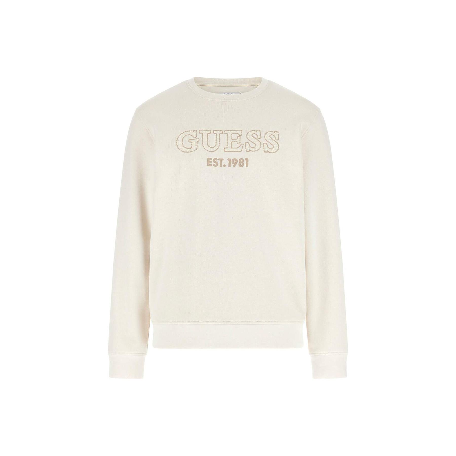 7628907032189 - Pullover Beau