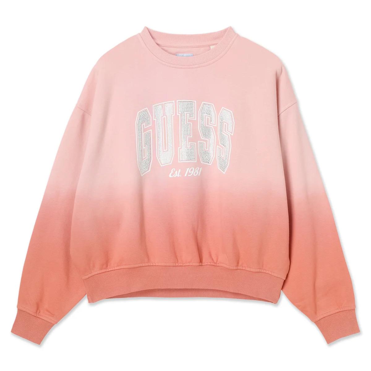 7625408356141 - Sweatshirt Pullover COLLEGE