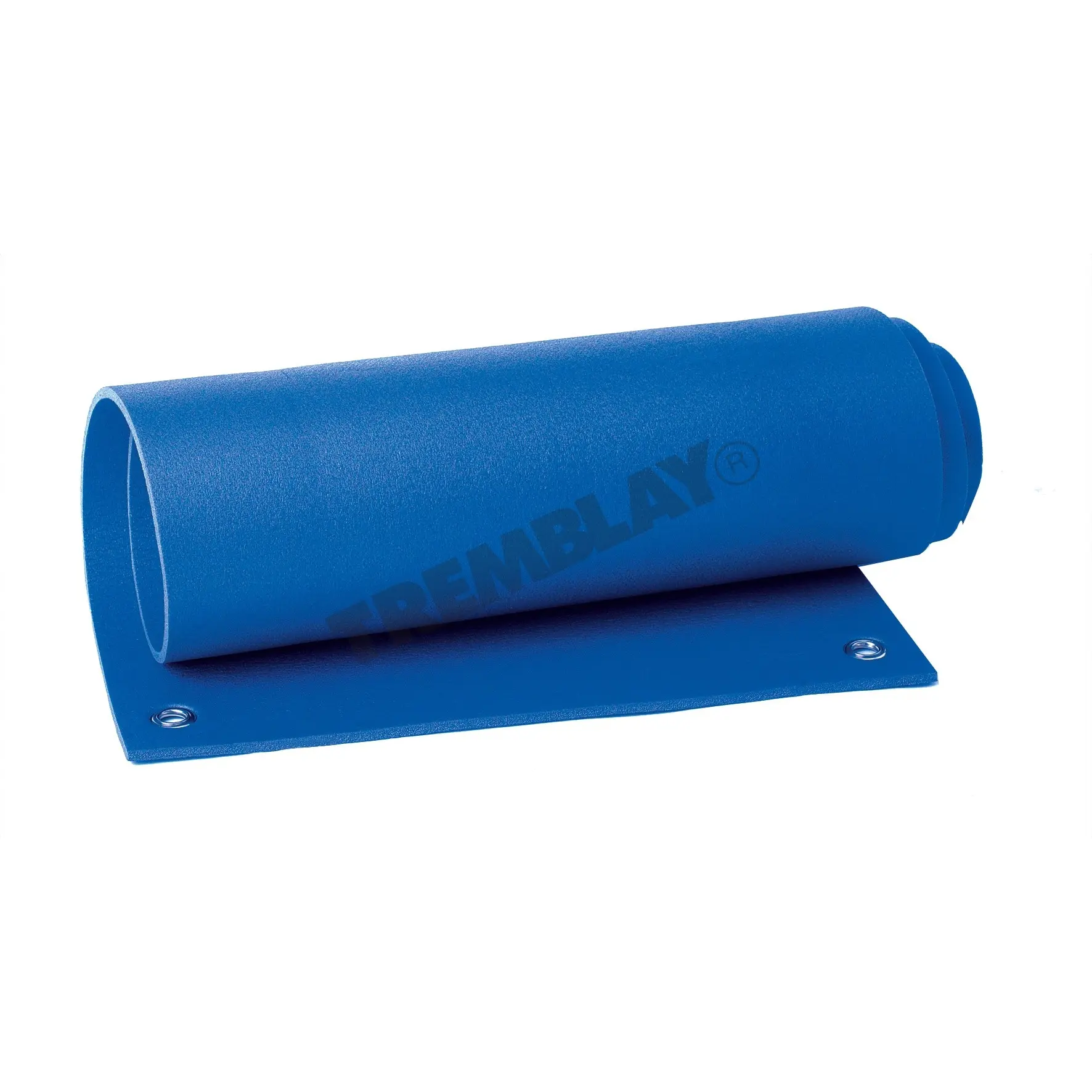 Tremblay Ct Bleu Floor Mats