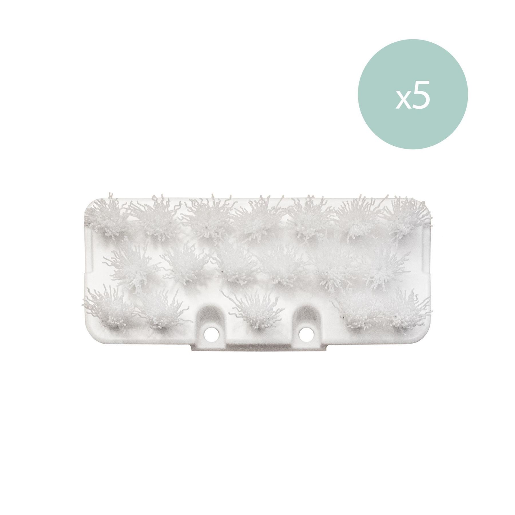 3701335306825 - Ersatzbürste für Textilreiniger TWT77