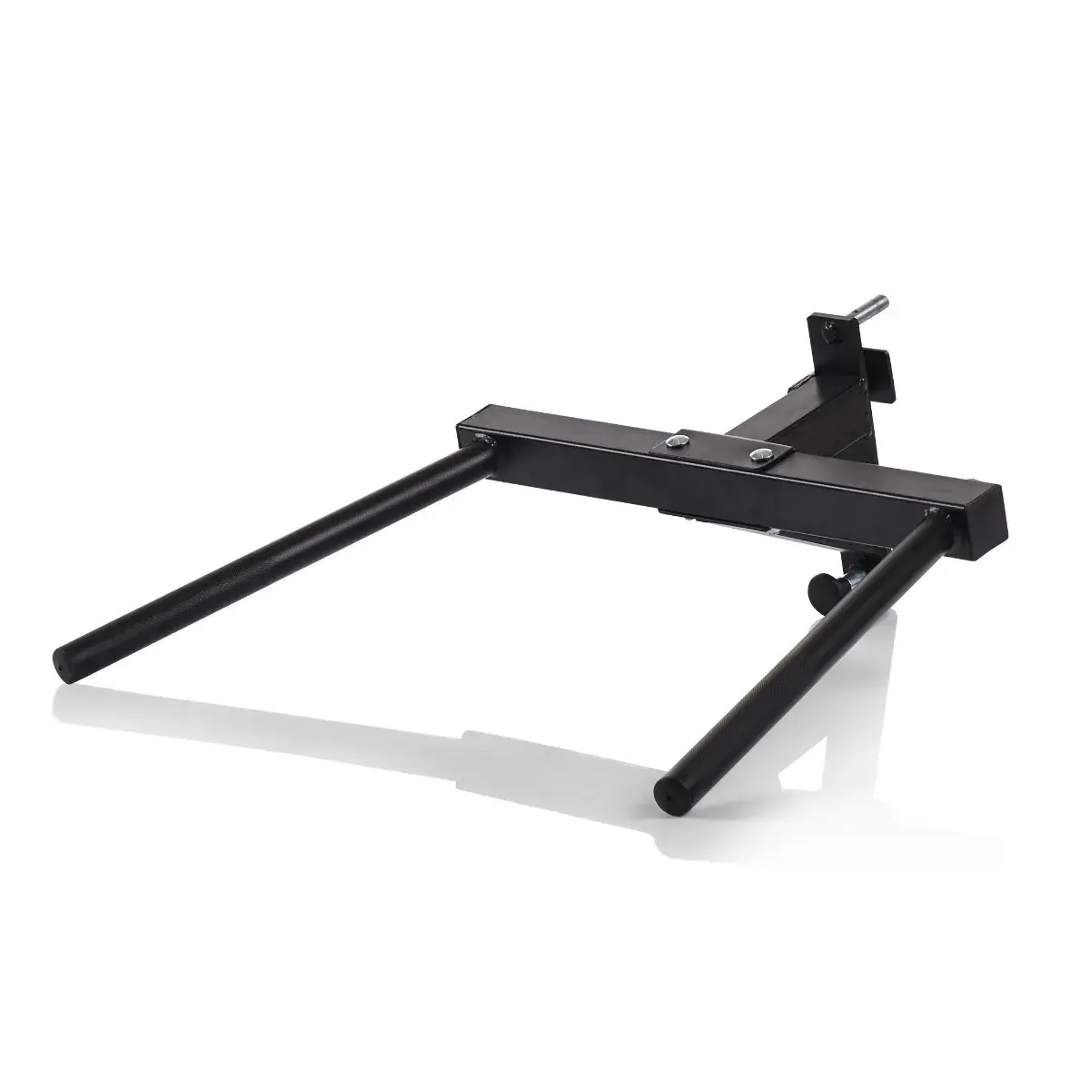 Barra per i tuffi Hammer Autark Smith Machine