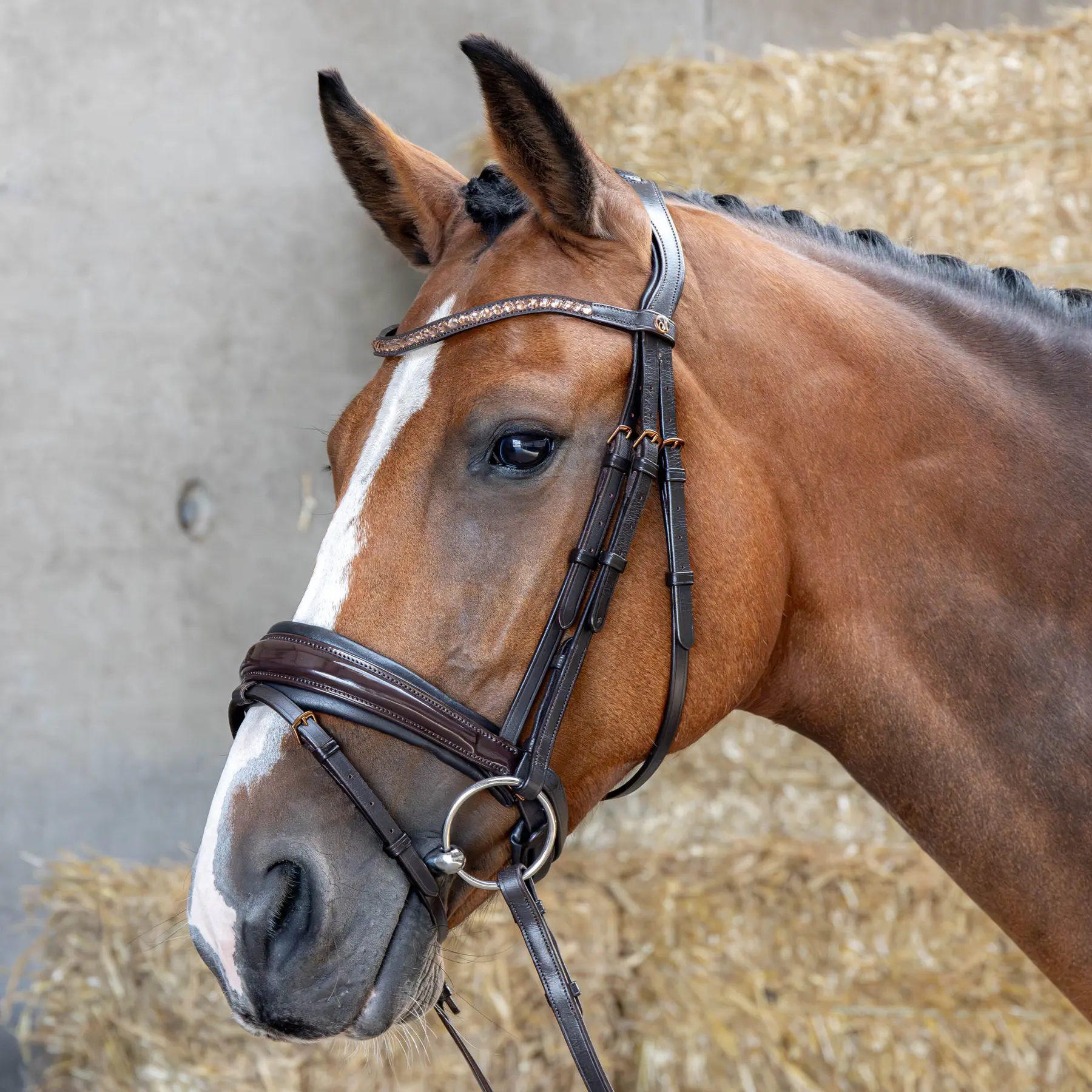 Bridon équitation muserolle combinée Harry's Horse Copper