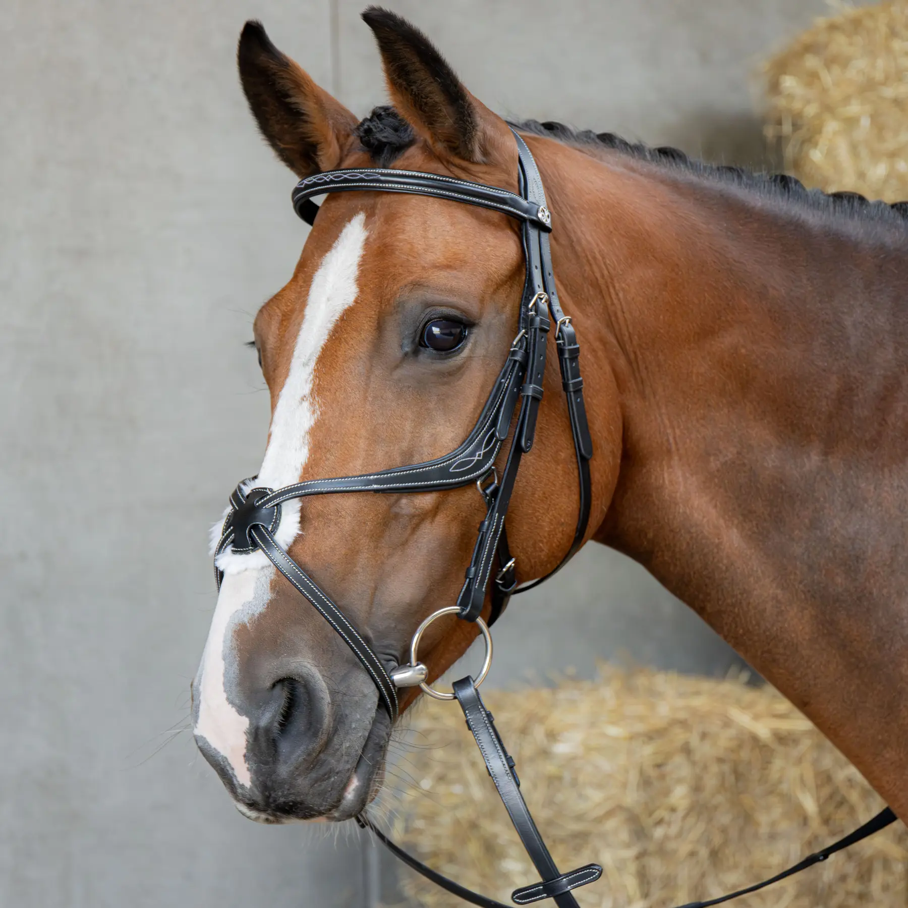 Harry's Horse Noir Anatomical Mexican Double-Breasted Snaffle Bridle