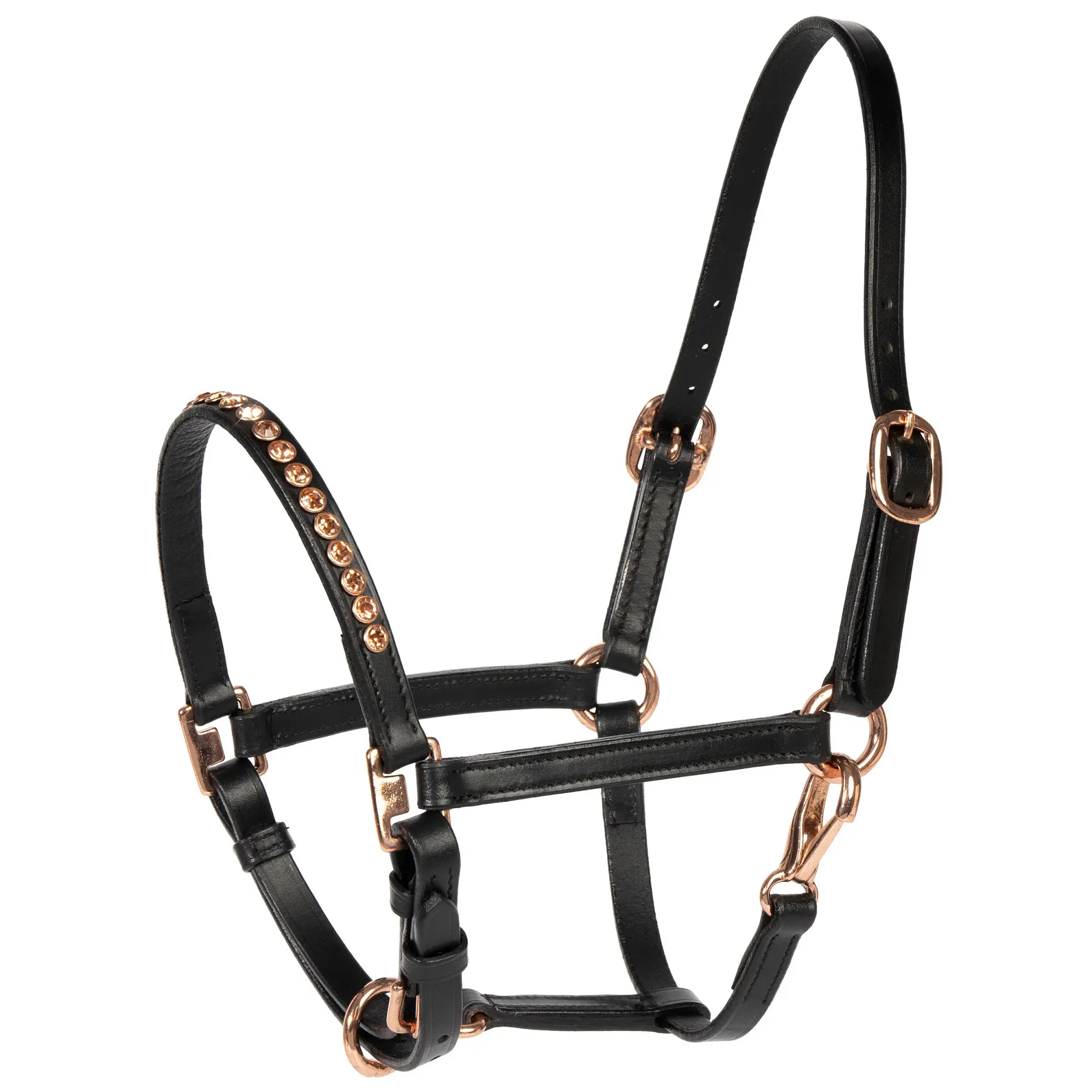 Licol pour poney Harry's Horse