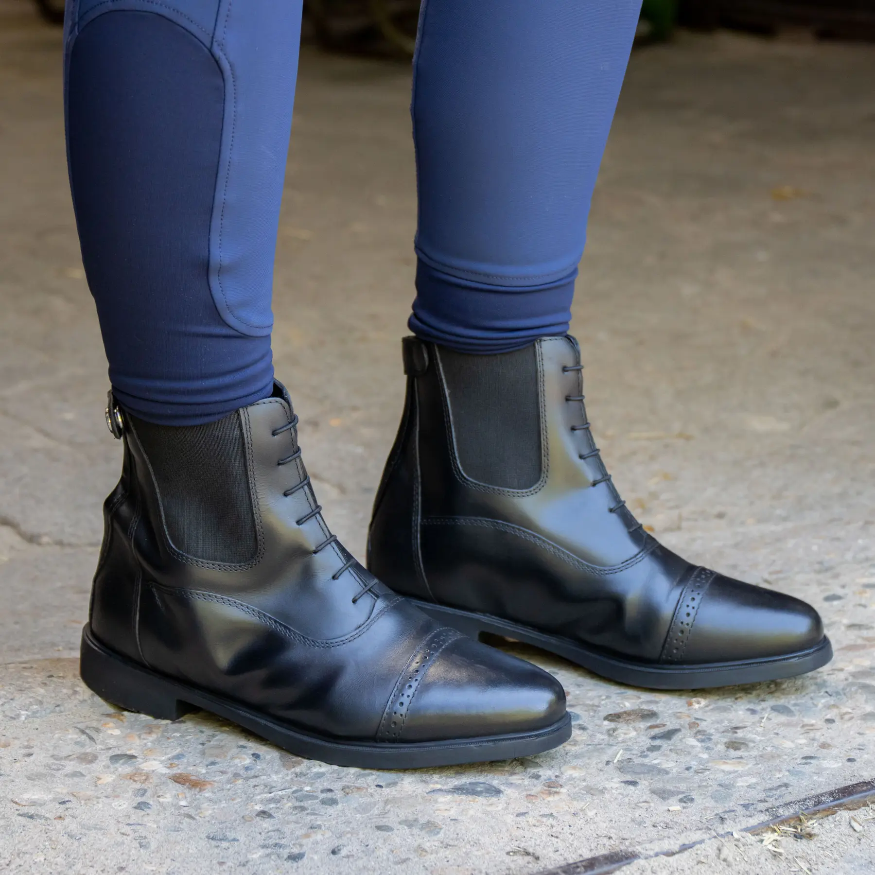 Damen Stiefeletten Harry's Horse Montreal