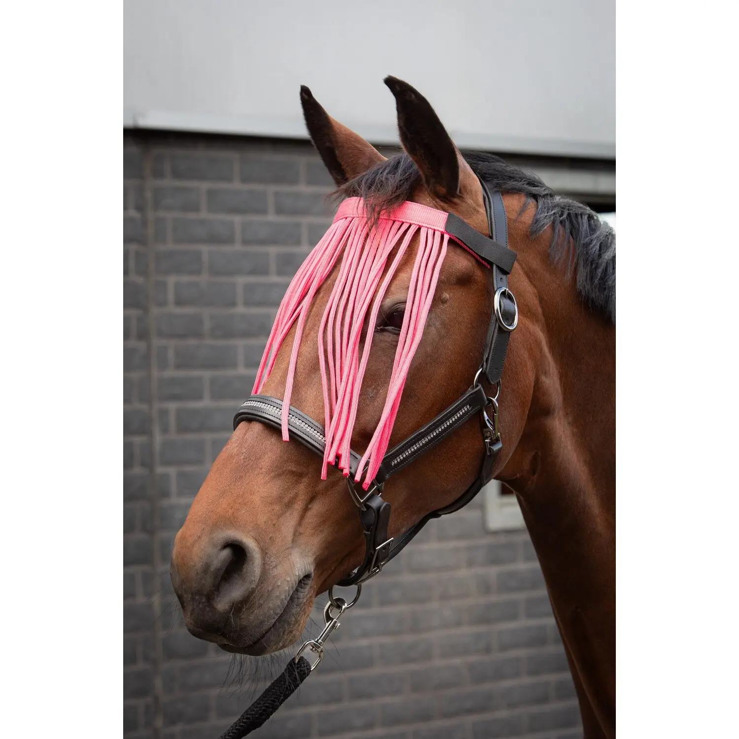 Polo de concours femme Harry's Horse Satin