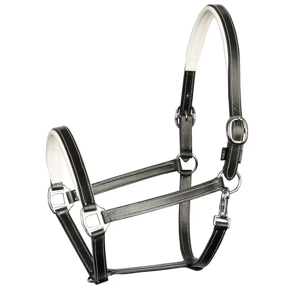 Halfter Aus Leder Harry's Horse Elegance