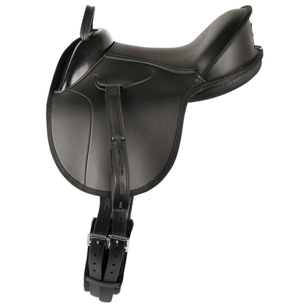 product/h/a/harry-s-horse_28600060_1_2.jpg