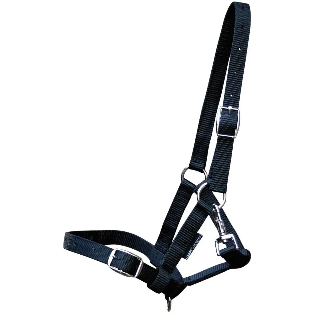 Harry's Horse Noir Halter For Foal