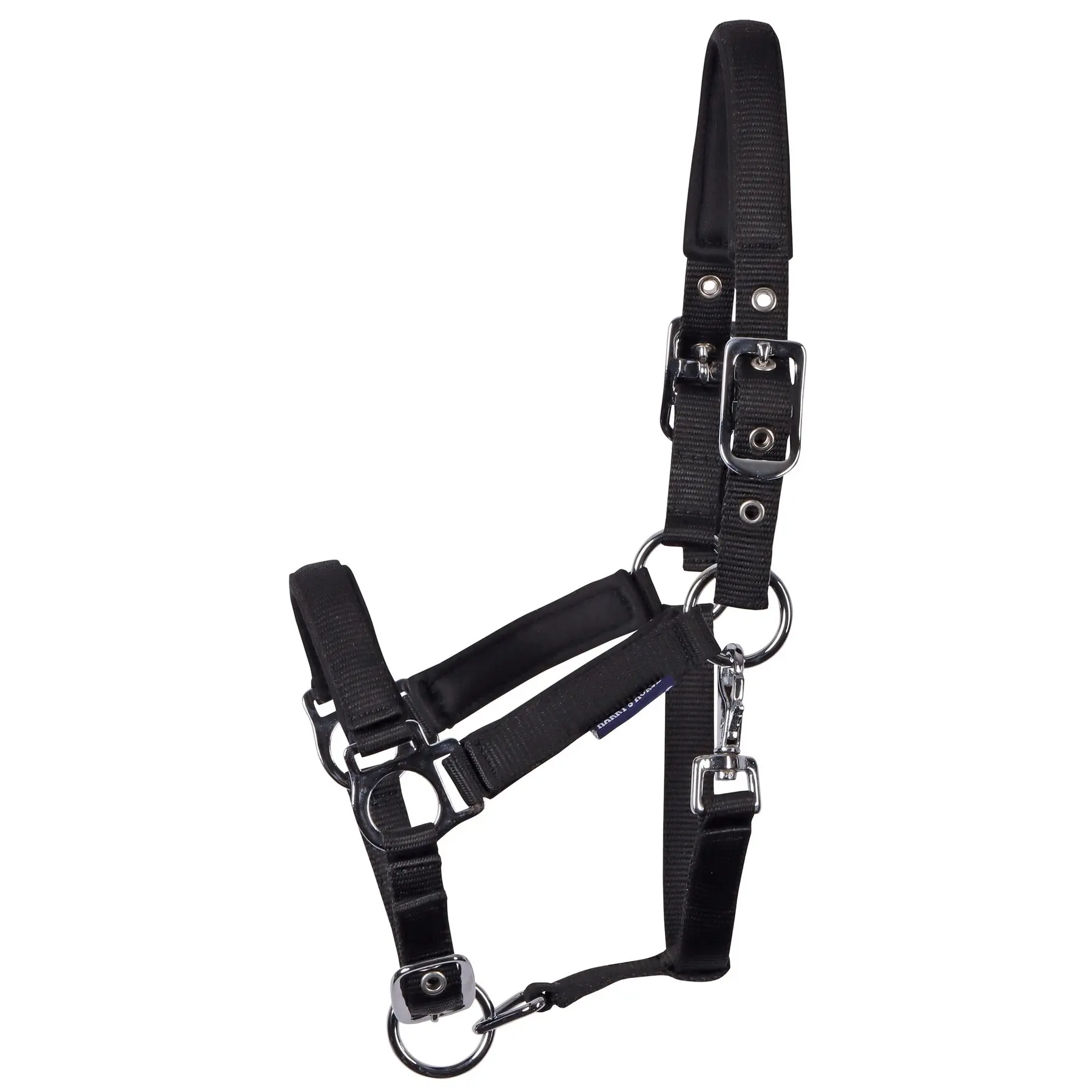 Meilleurs prix pour Licol pour poulain Harry's Horse