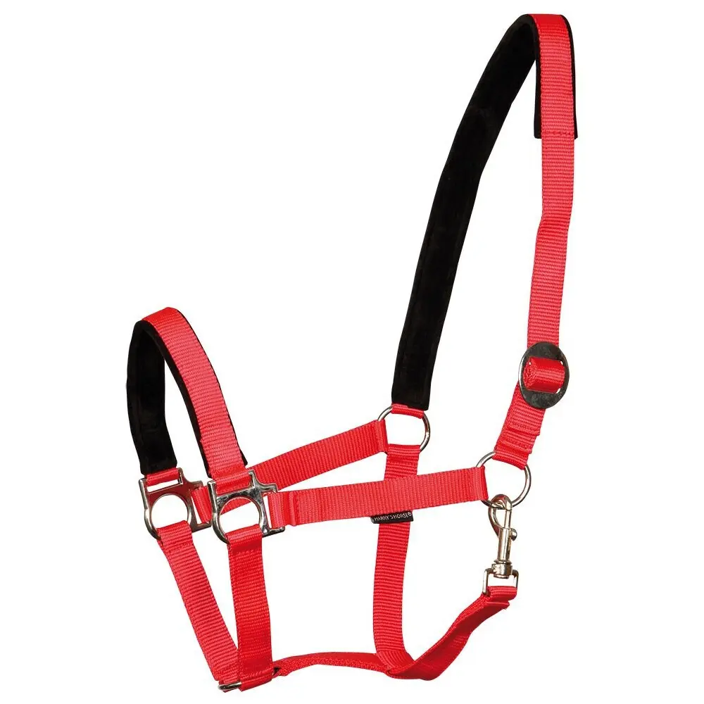 Harry's Horse Rouge Padded Horse Halter