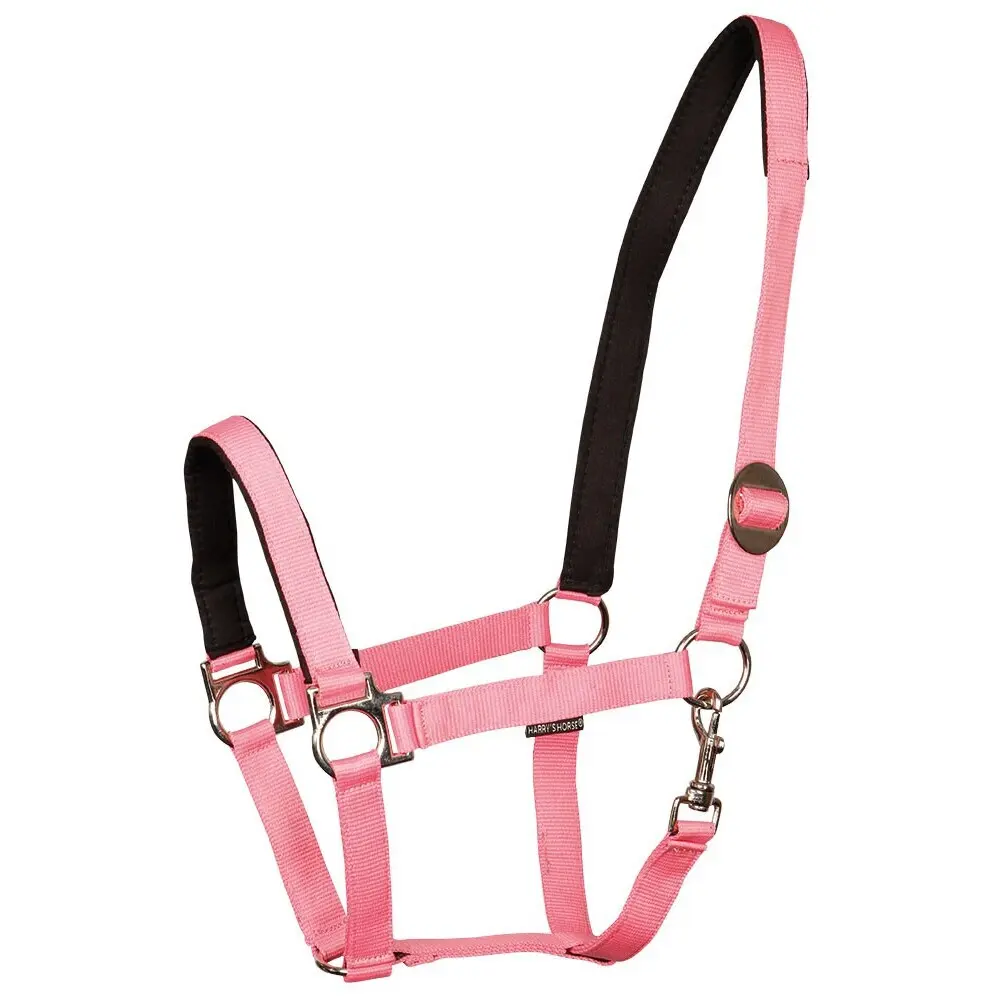 Harry's Horse Rose Padded Horse Halter