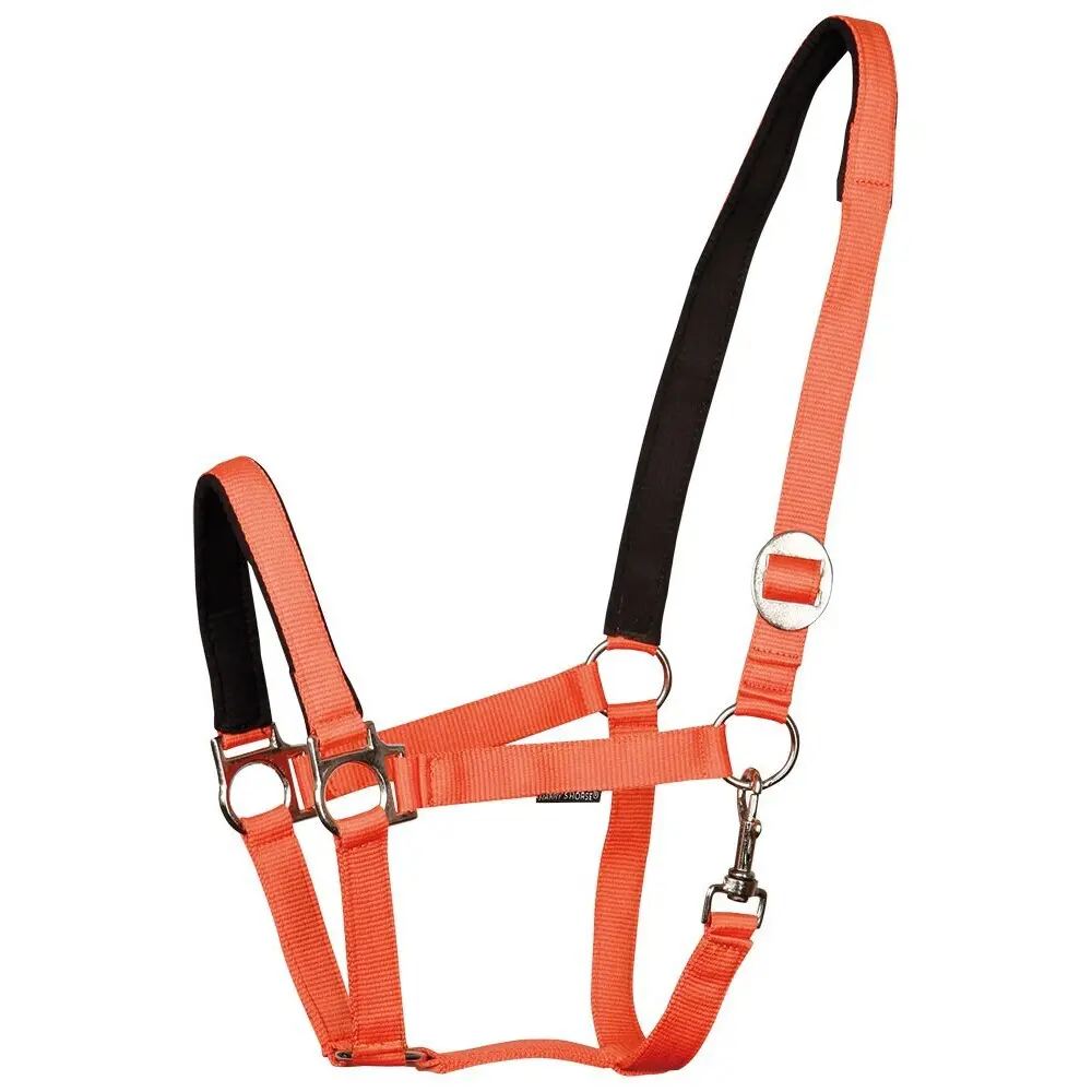 Harry's Horse Orange Padded Horse Halter