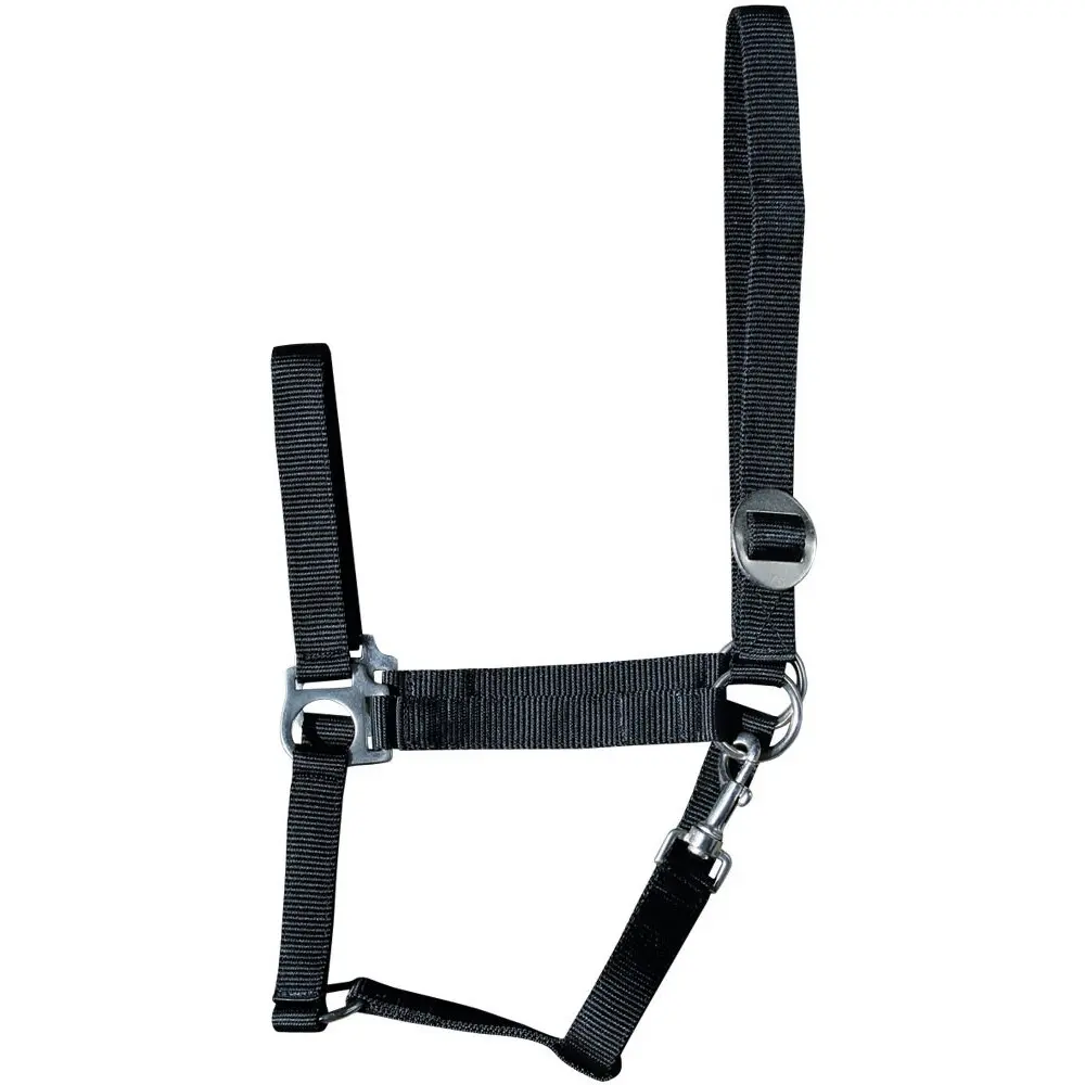 Harry's Horse Noir Halter For Horse Economy