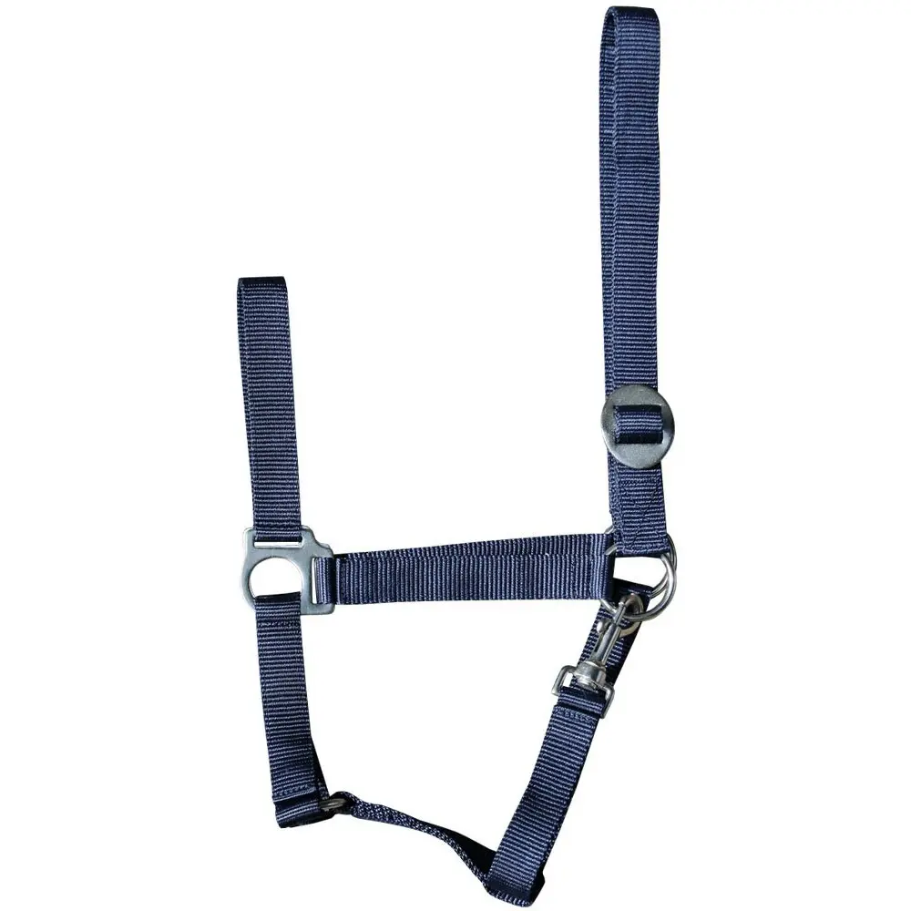 Harry's Horse Bleu Halter For Horse Economy