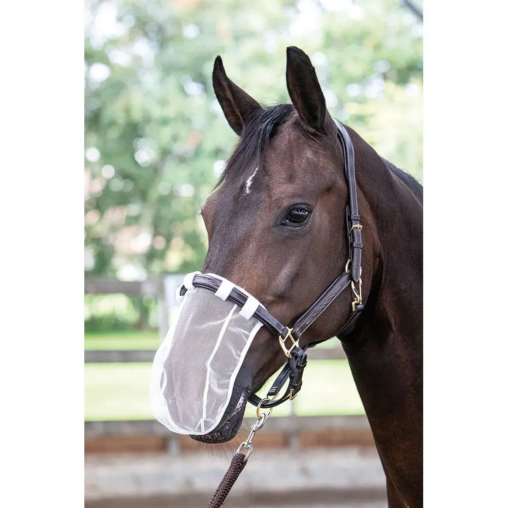Harry's Horse Blanc Nasal Protection For Horses (X5)