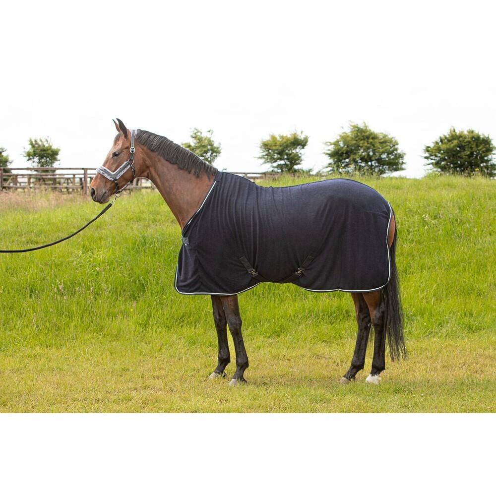 product/h/a/harry-s-horse_32200012-navy_navy_1.jpg