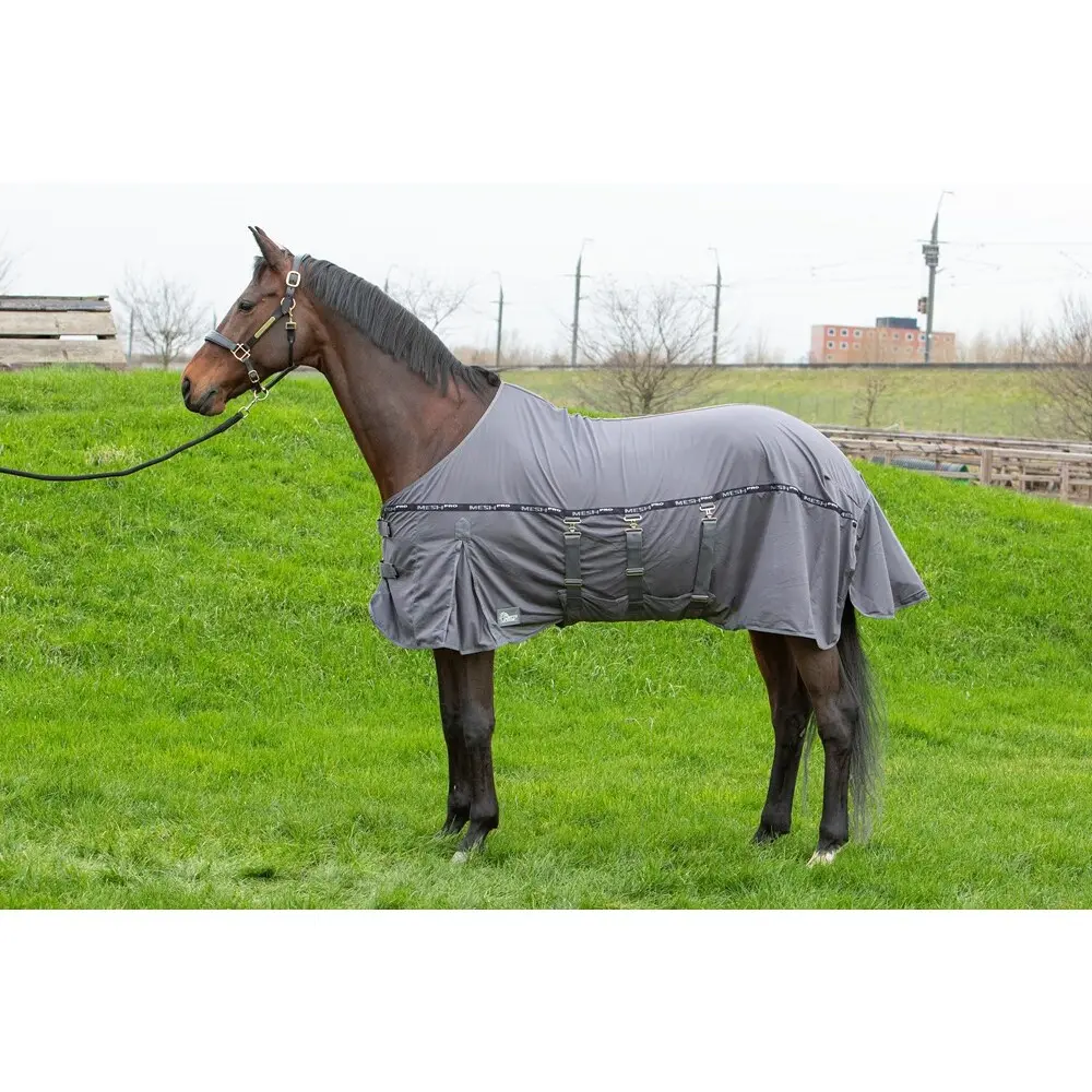 Couverture anti-mouches pour cheval Harry's Horse Mesh-Pro Belly