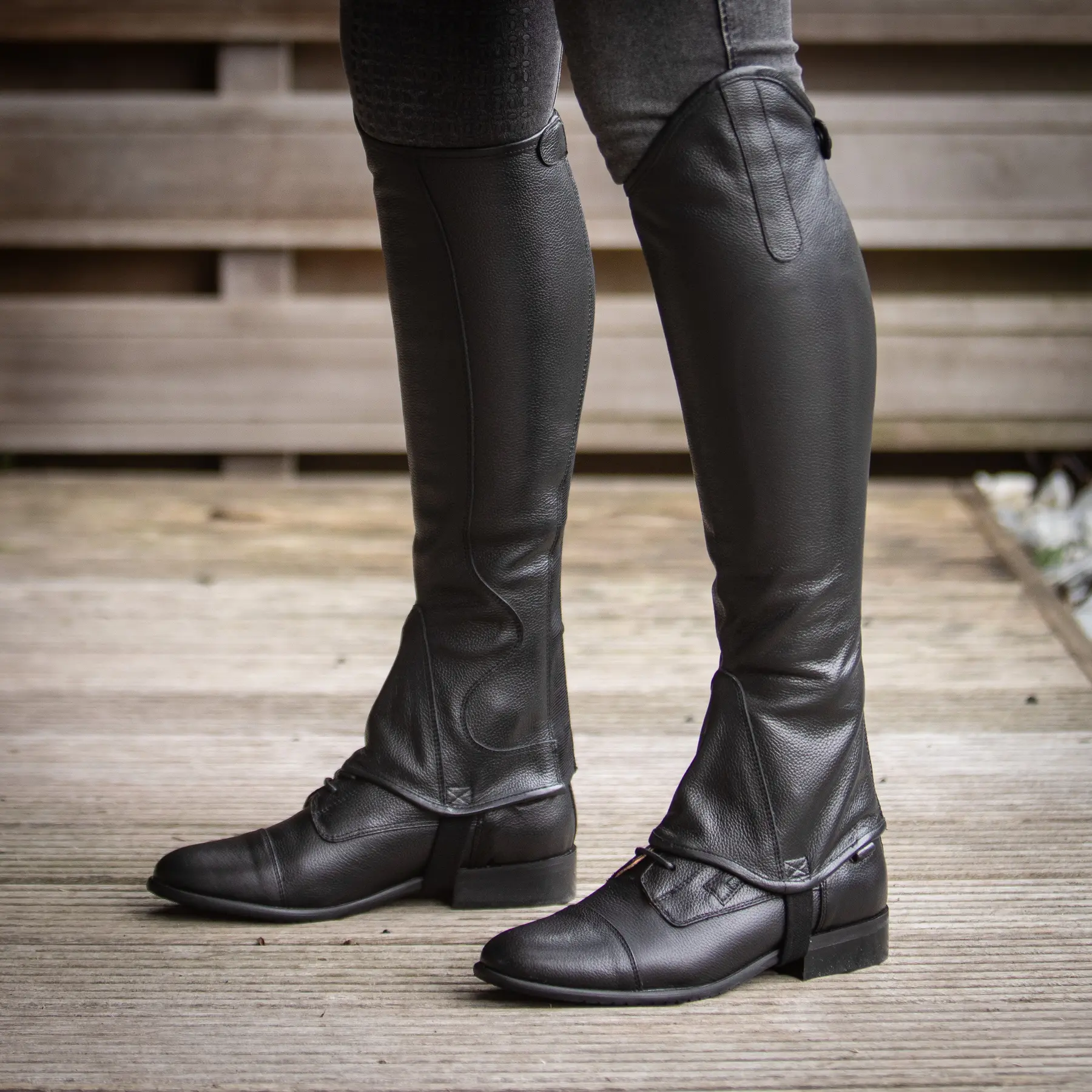 Comparer les prix de Mini-chaps large Harry's Horse Bellisa