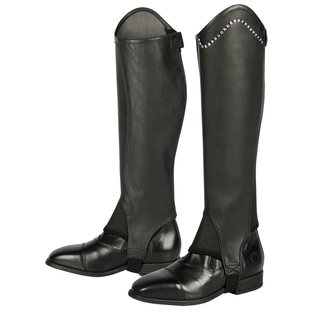 Comparer les prix de Mini-chaps Harry's Horse Asteroid