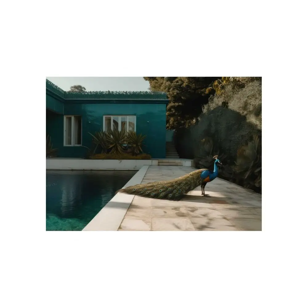 3760367934680 - Poster Urban Zoo 25