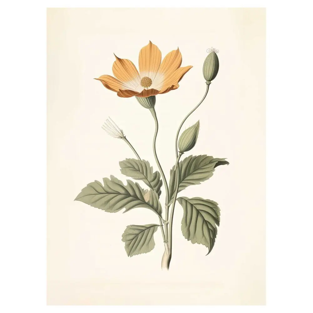 3760367933799 - Poster Encyclopedia 01