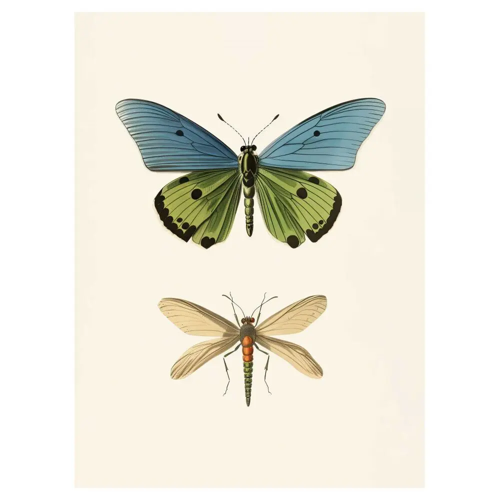 3760367933775 - Poster Encyclopedia 03